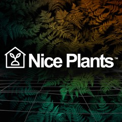 Nice Plants