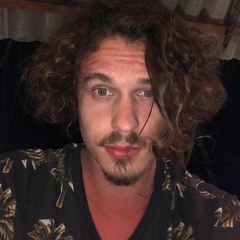 dingo_bandana