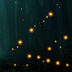 Fireflyes