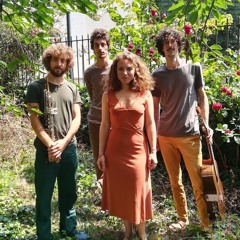 Amorosa (Ex Rosa Quartet)1