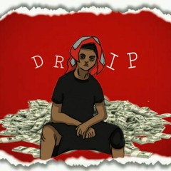 YN Lexx