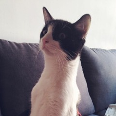 Carlos David Aguilar Ruiz