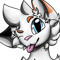 Lucky The cat
