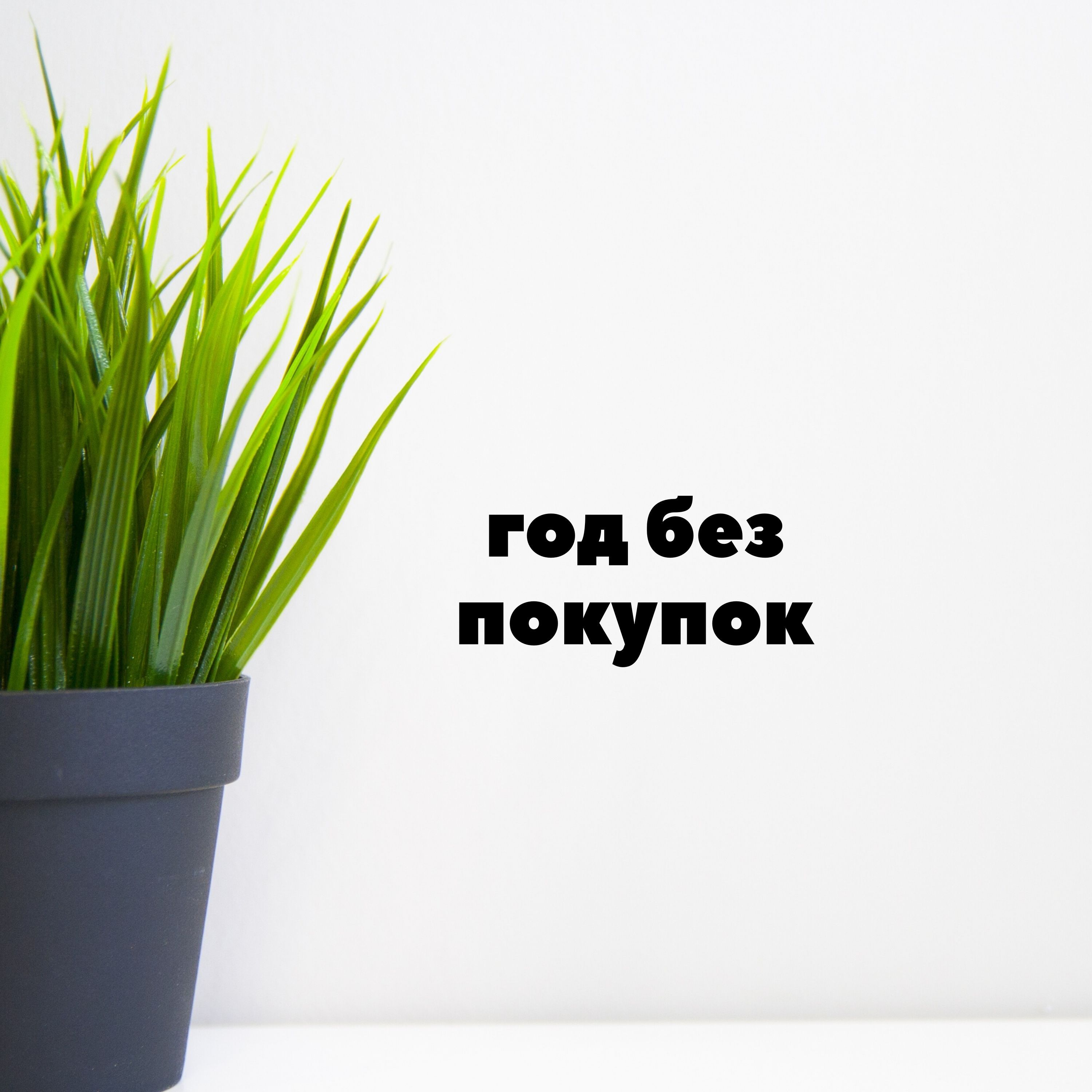Год без покупок