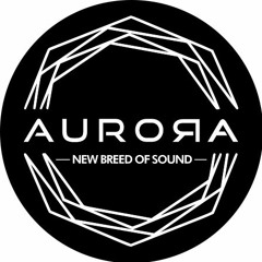 Aurora DSP