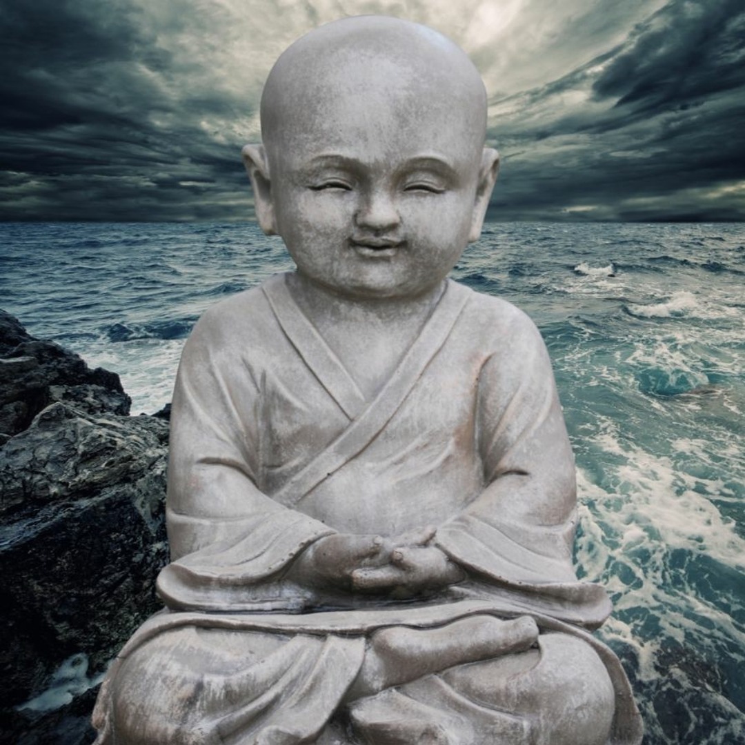 Stream Nature Sounds TV music | Listen to songs, albums, playlists