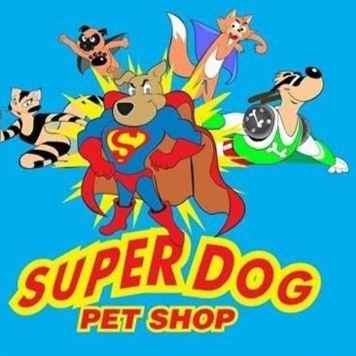 Superdog acessorios’s avatar