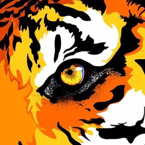 Dj Tygrys’s avatar