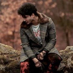 FALL-E