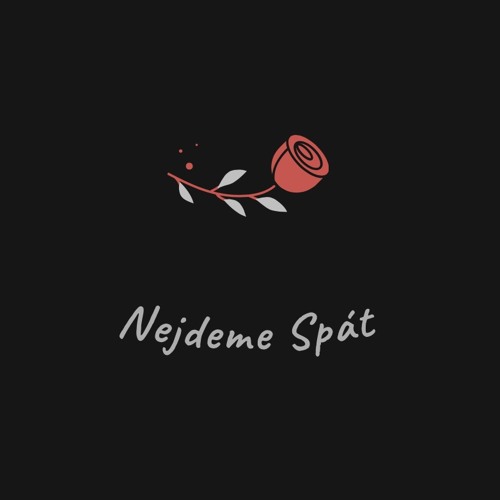 Nejdeme Spát’s avatar