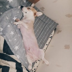 히팝씬의 괴수