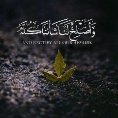 abdo mahmoud