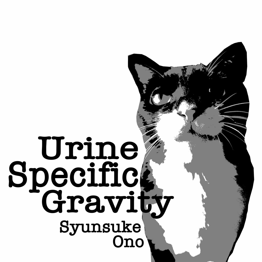 邦楽 Syunsuke Ono / rar-04lp / jetset Stream SyunsukeOno music | Listen to songs, albums