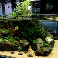 nubi scaper
