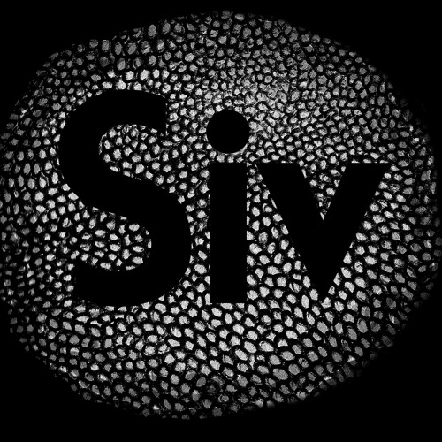 Sivilised Recordings’s avatar