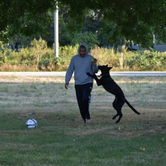 Santos Javier Luciano II