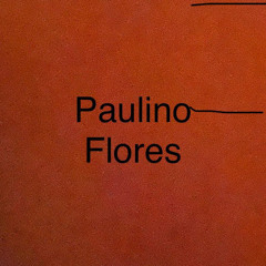 PAULINO FLORES