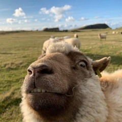 FrostyJamesMacFlames