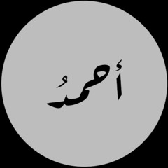 Ahmed Abdel Haleem