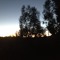 Agricultura Celeste
