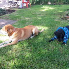 jose bernardo agamez