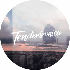 Tendertronica Records
