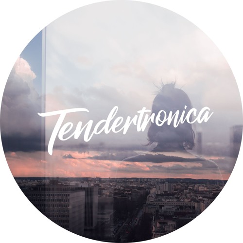 Tendertronica Records’s avatar