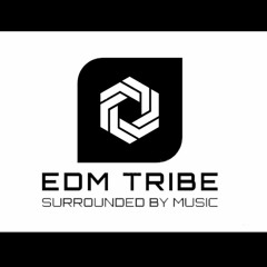 EDM TRIBE RECORDS