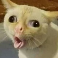 xmxrtxsx
