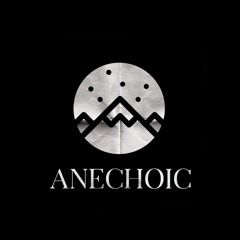 Anechoic Entertainment