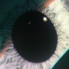 moe the microfonista