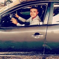 Mohammed S Shata