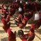 Farm Chick