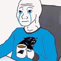 Sad Panthers Fan