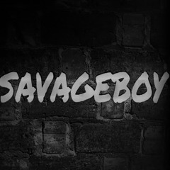 The Savageboy