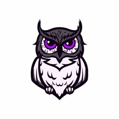Night Owl Studios