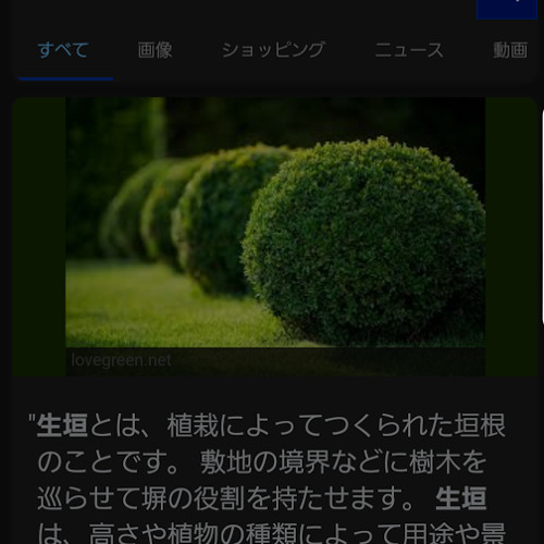 Stream Niggas In Poppin 編集 バズ By れおお Listen Online For Free On Soundcloud