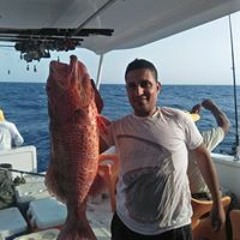 وزير الحنيه