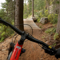 The Singletrack Shack