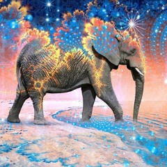 Tristan - Psy - Fi Continuous Mix