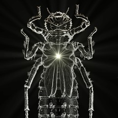 Ritterbummtschakk .*