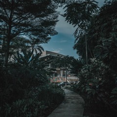 Cel
