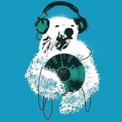 POLAR 8 AUDIO