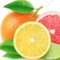 Citrus FRUIT