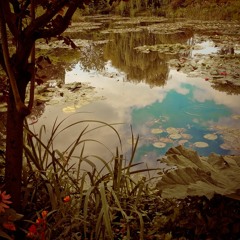 RVRS Music Productions