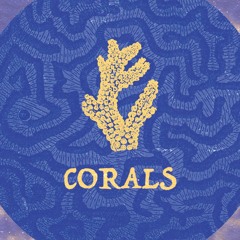 Corals: The Underwater Tribe 🔱
