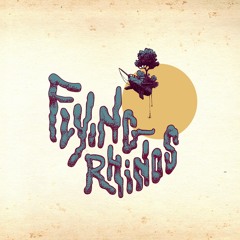 Flying Rhinos