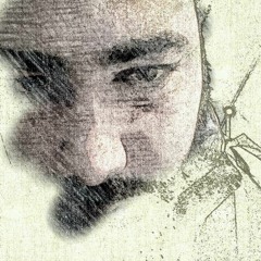 MohammadKia Goodarzi
