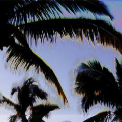 Palms Rec.