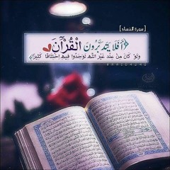 عبدالرحمن حبيب